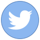 Twitter Icon